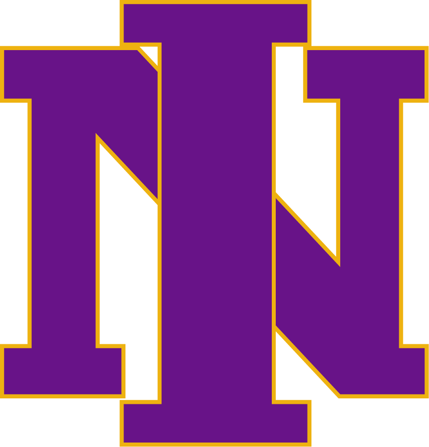 Northern Iowa Panthers 2000-2001 Primary Logo iron on transfers for clothing